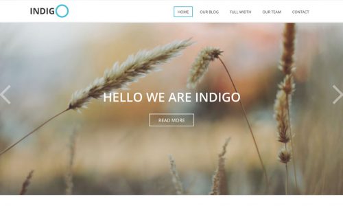 Indigo, business and non-profit WordPress theme