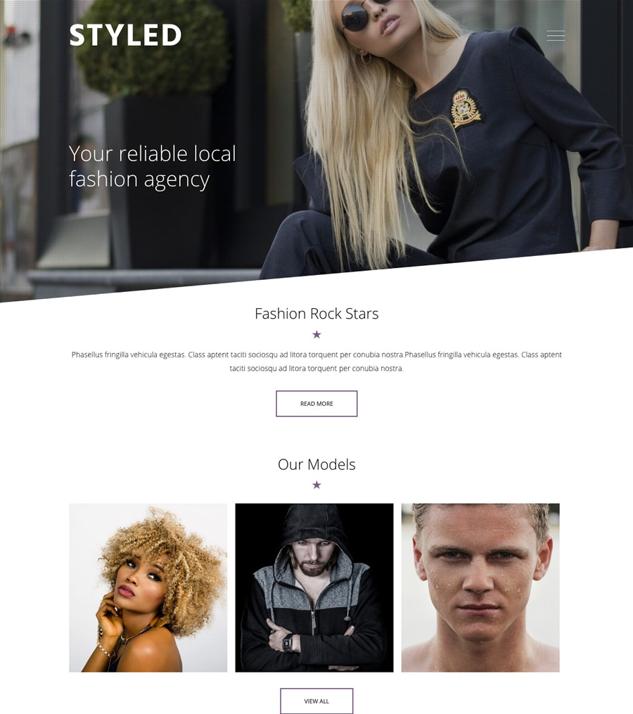 Styled, eCommerce and fashion WordPress theme